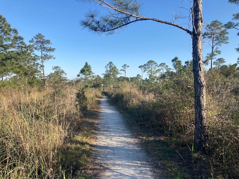Fort Pickens Area Trails (Pensacola Beach)