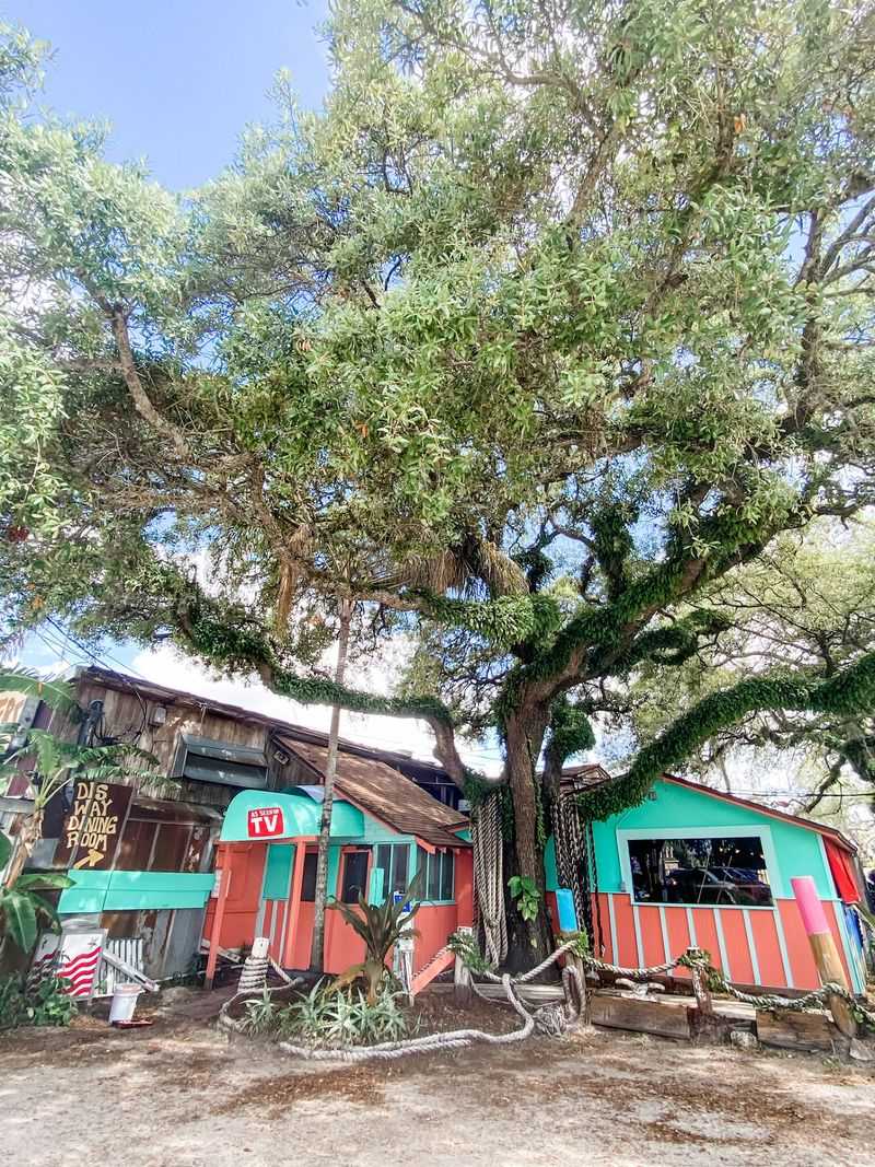 A Tampa Institution Since 1980