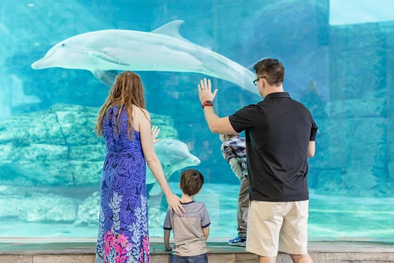 Behind-the-Scenes Hospital Access