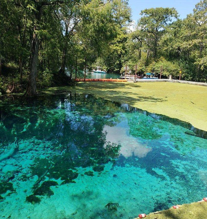 Fanning Springs State Park