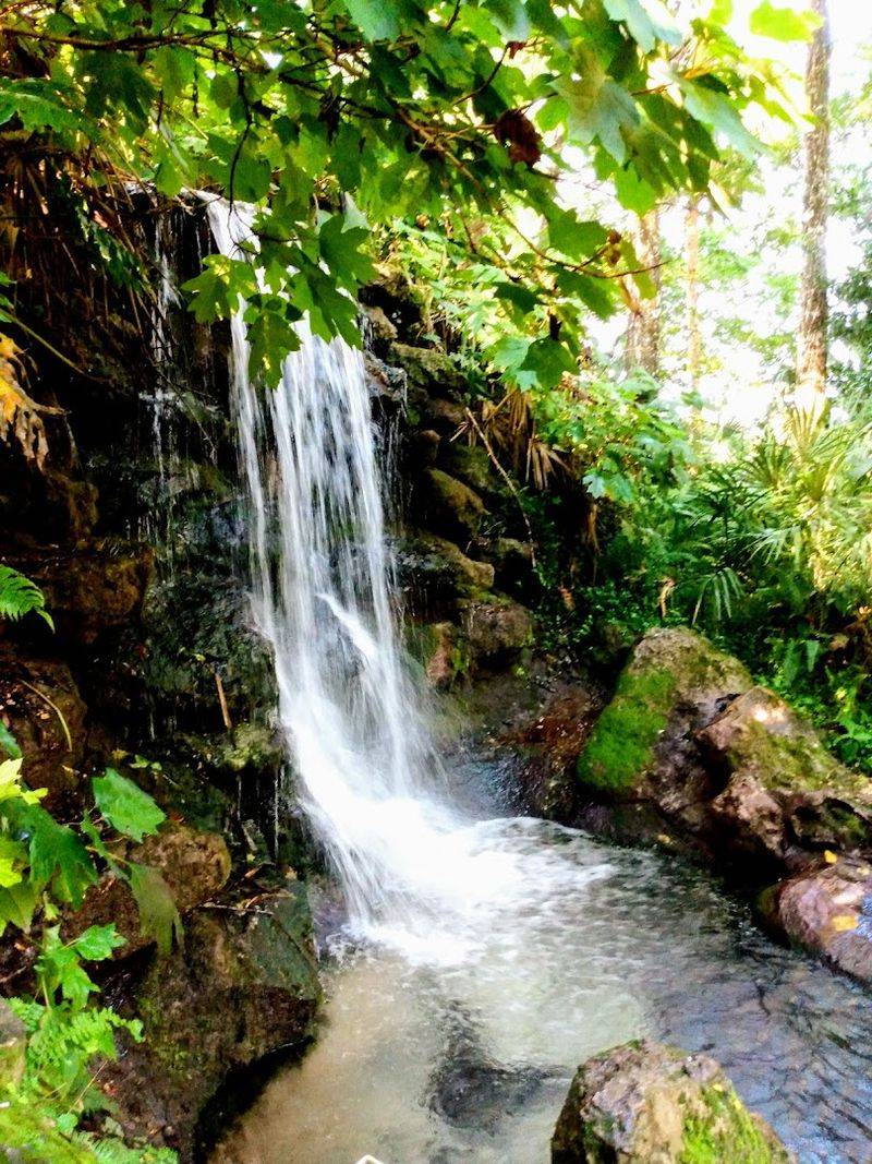 Rainbow Springs State Park (Dunnellon)