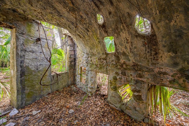 Why These Oddities Matter to Florida's Story