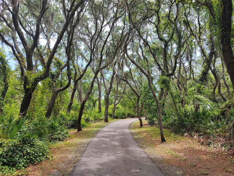 Lettuce Lake Park Boardwalk (Tampa)