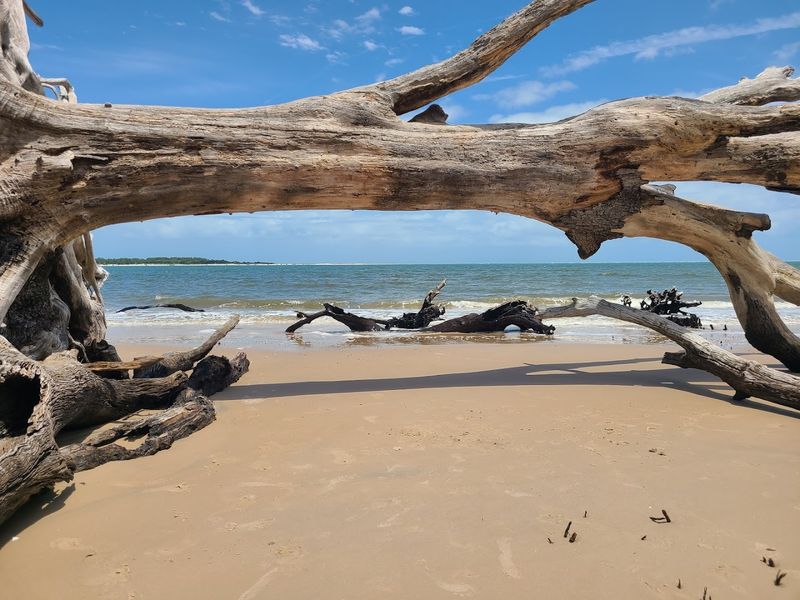 Boneyard Beach (Big Talbot Island State Park)