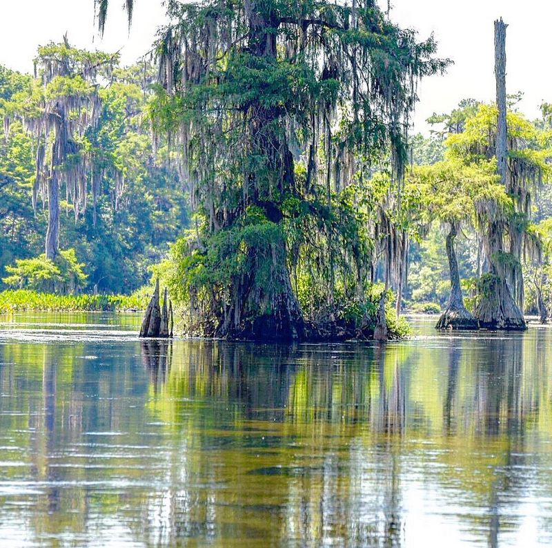 Wakulla Springs / Crawfordville (Florida Panhandle)
