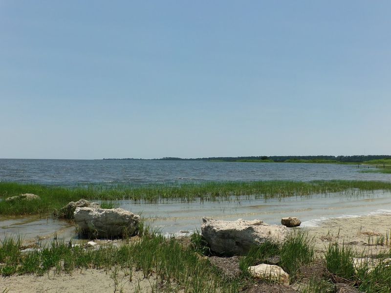 St. Marks National Wildlife Refuge — Wakulla and Panacea Units (St. Marks/Panacea)
