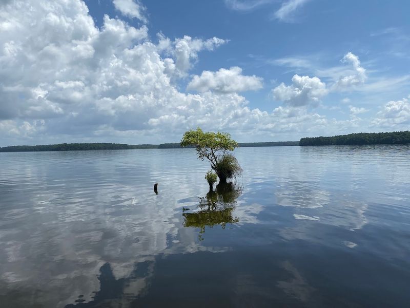 Lake Talquin (Tallahassee / Quincy)