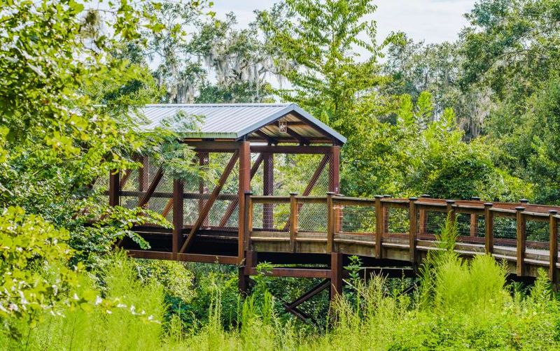 Betton Nature Center Covered Bridge (Tallahassee)