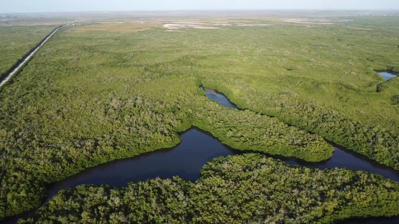 Big Cypress Backcountry