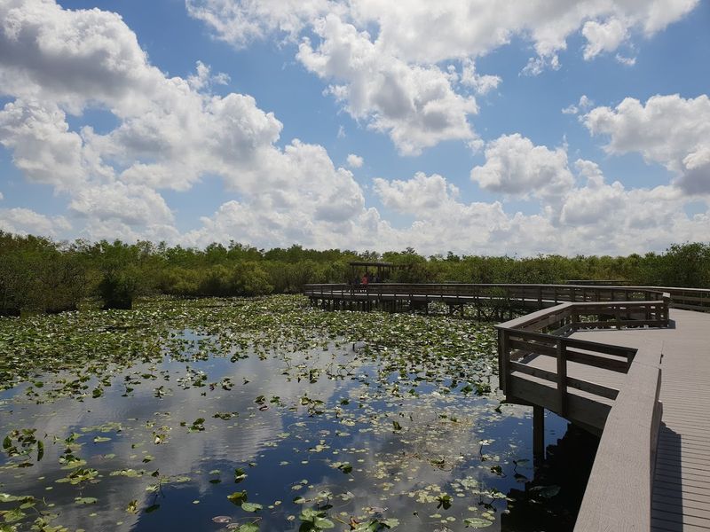 Everglades National Park (Homestead)