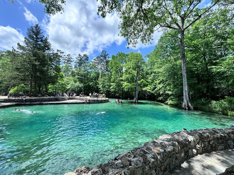 Spend a low-cost day at a Florida State Park (Statewide)