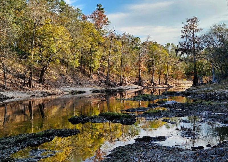 White Springs