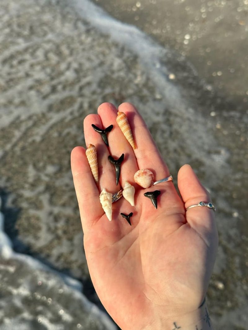 Making Your Venice Beach Trip Memorable