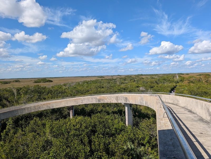 Everglades National Park (Shark Valley or Ten Thousand Islands)