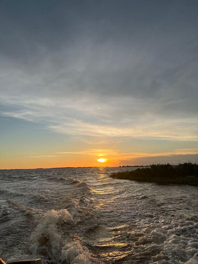 Waccasassa Bay Preserve State Park (Levy County)