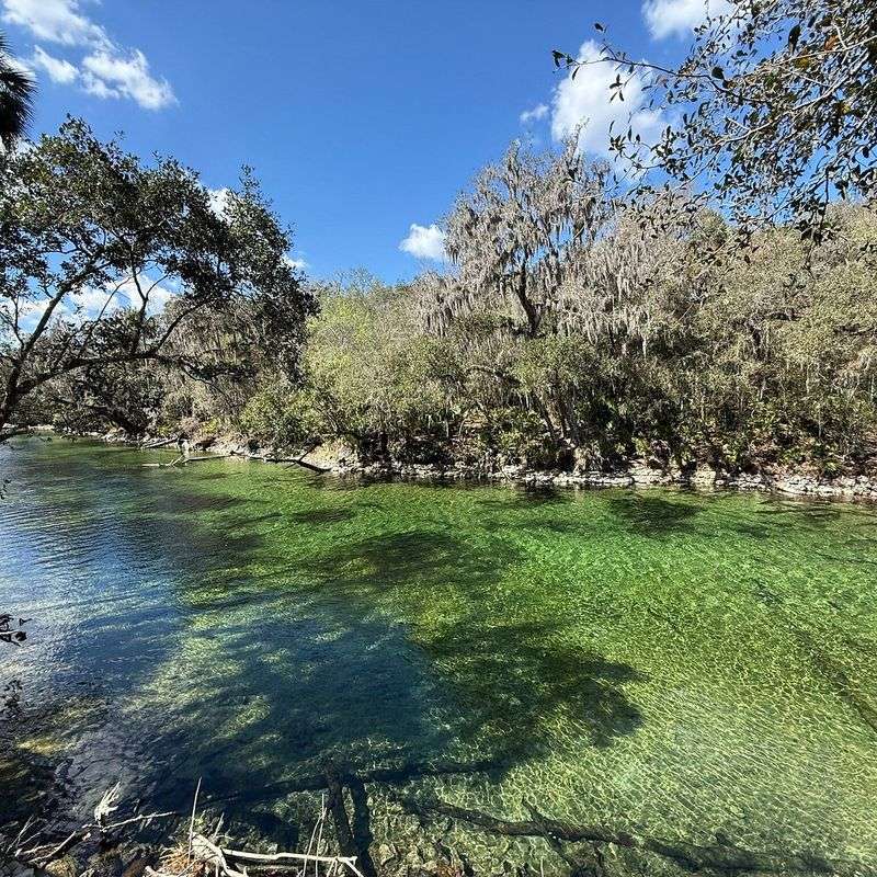 Blue Spring State Park (Orange City)