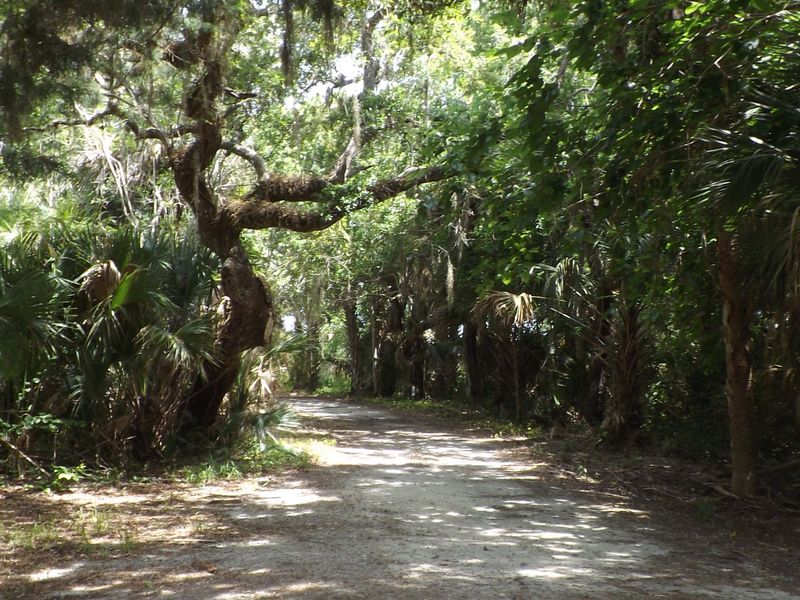 The Trails That Now Wind Through What Once Was Home