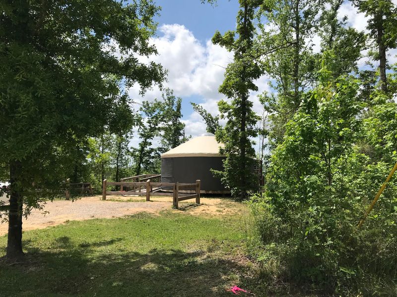 Torreya State Park (Bristol)