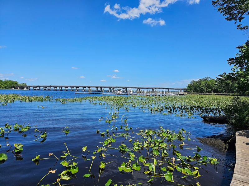 Fishing Spots Where Patience Pays Off