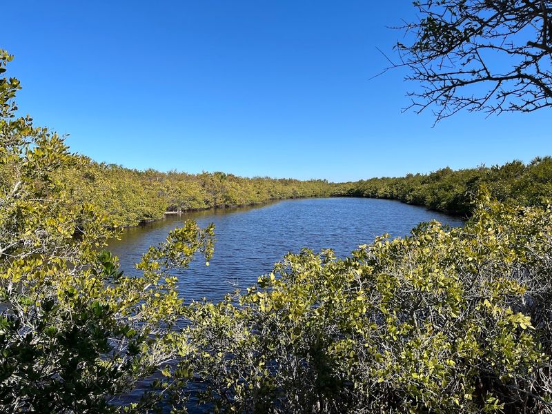 Caladesi Island's Kayaking Paradise