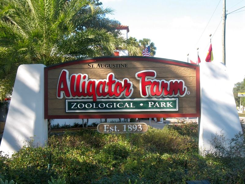 St. Augustine Alligator Farm Zoological Park – St. Augustine