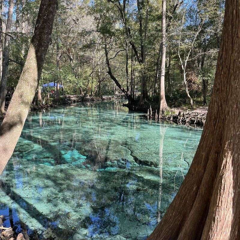 Ginnie Springs (High Springs)