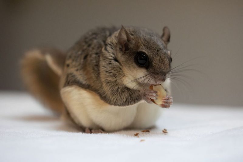 Busch Wildlife Sanctuary - Jupiter, FL