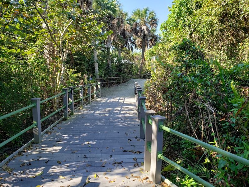 Sanibel Island Shared-Use Paths