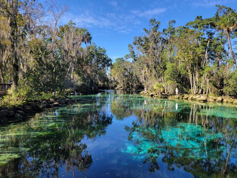 Crystal River + Homosassa