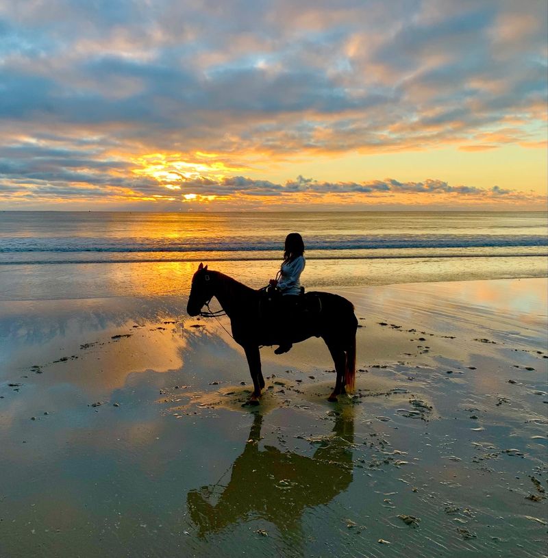 Amelia Island Horseback Riding (Fernandina Beach)