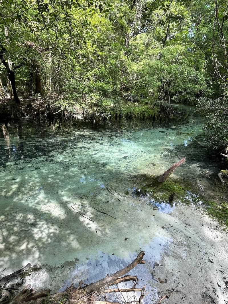 Ponce de Leon Springs State Park