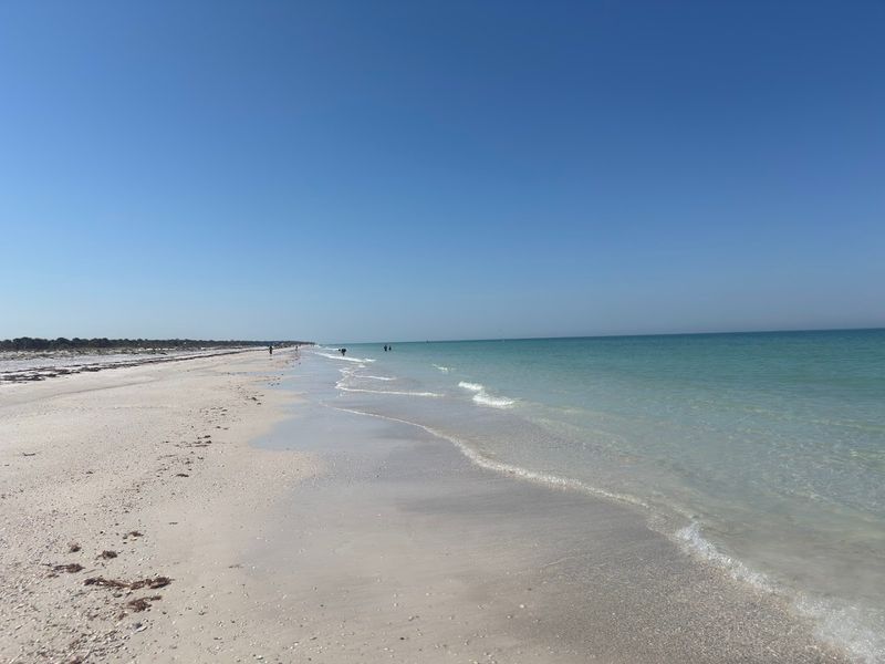 Caladesi Island State Park
