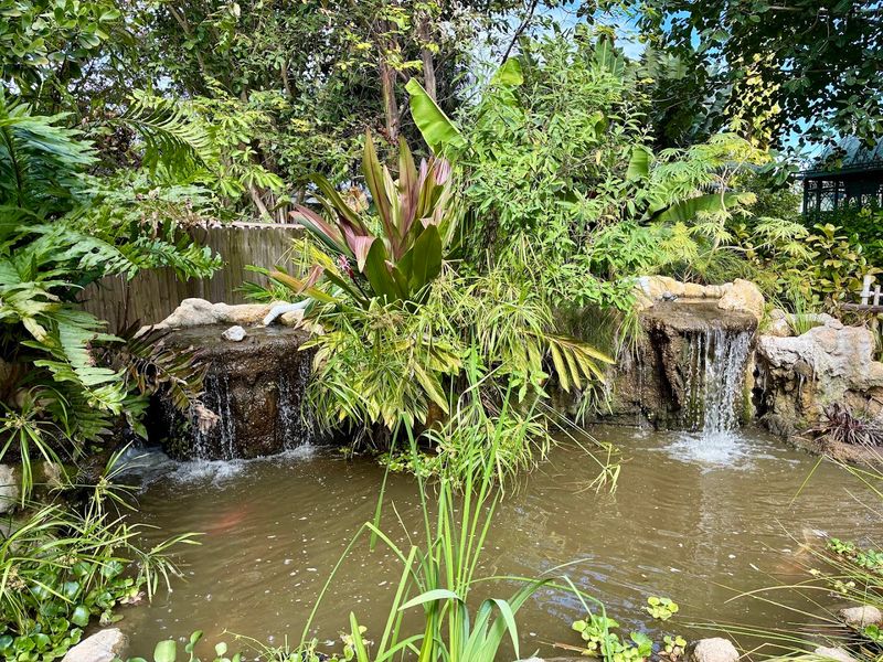 Everglades Wonder Gardens Brings Exotic Wildlife Up Close