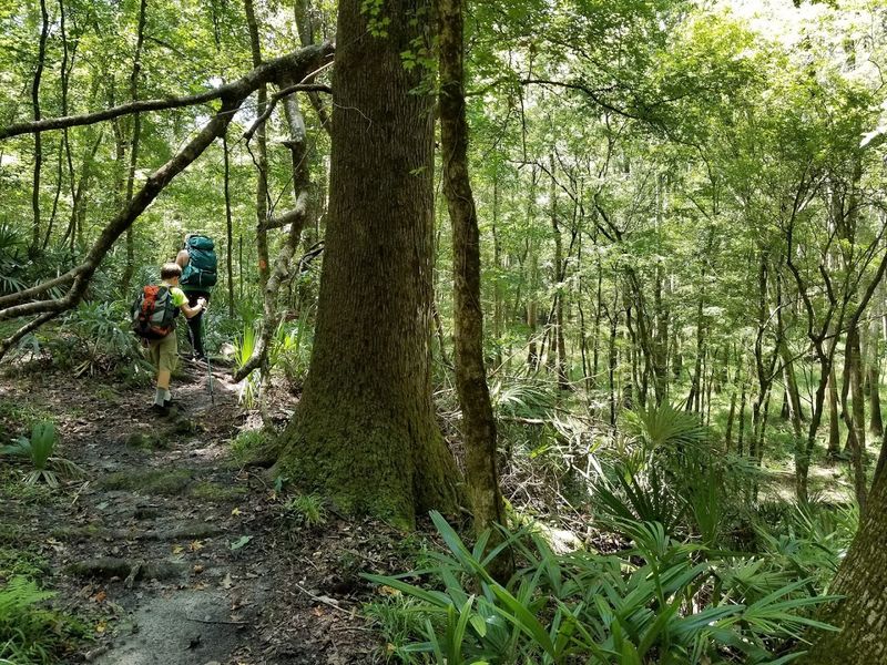 Torreya State Park Trails
