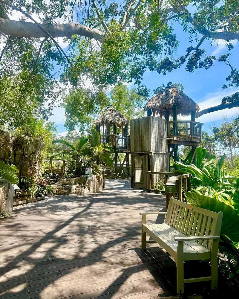 Canopy Walkways That Make Kids Feel Like Explorers