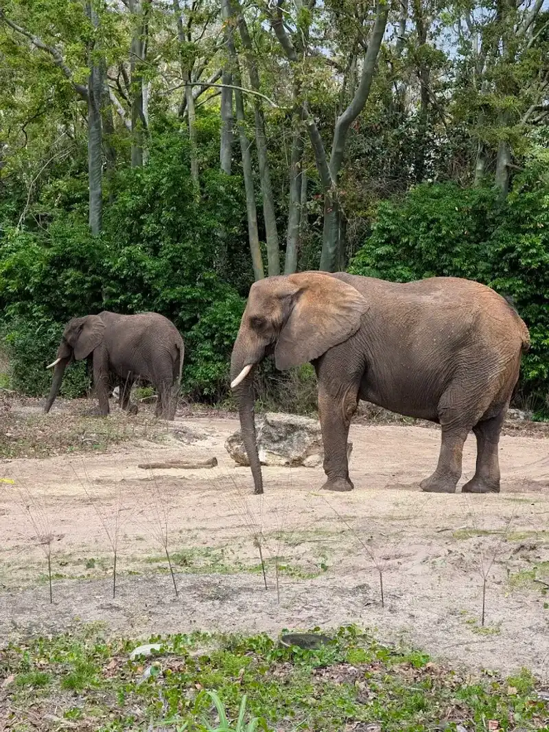 Romantic and Intimate Atmosphere