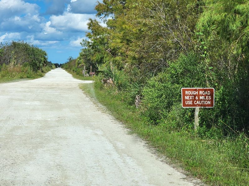 Janes Scenic Drive — Old Florida at Its Rawest