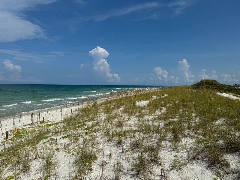 Cape San Blas / T.H. Stone Memorial St. Joseph Peninsula State Park