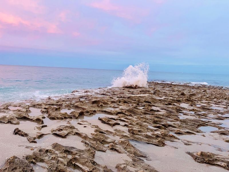 Ocean Reef Park Offers Prime Hunting Grounds