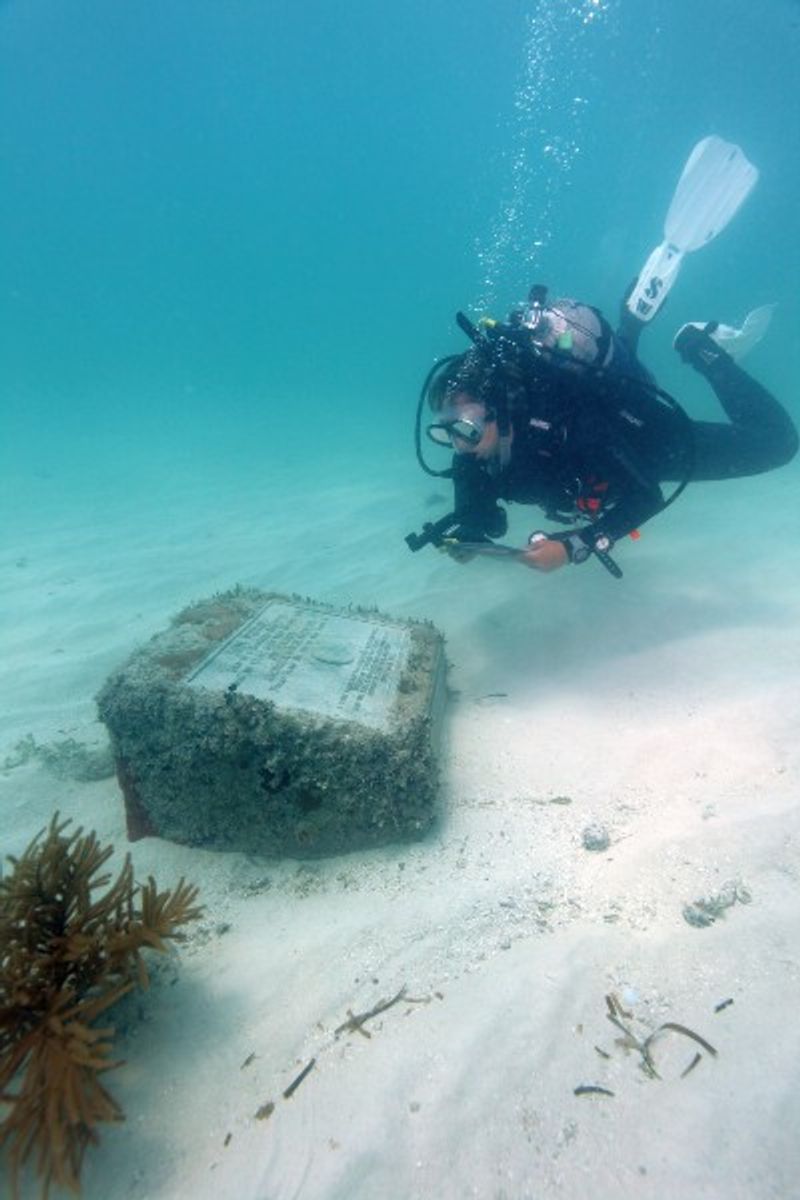 Mooring Buoys That Protect the Past