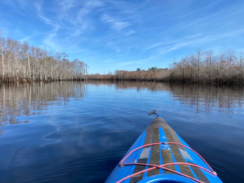 Seasonal Swings and Safety Smarts