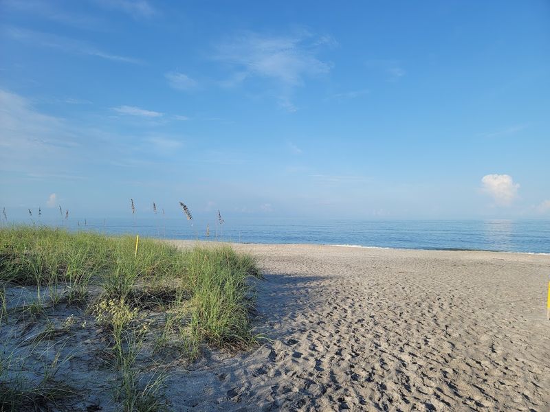 Fishing Opportunities Right From the Beach