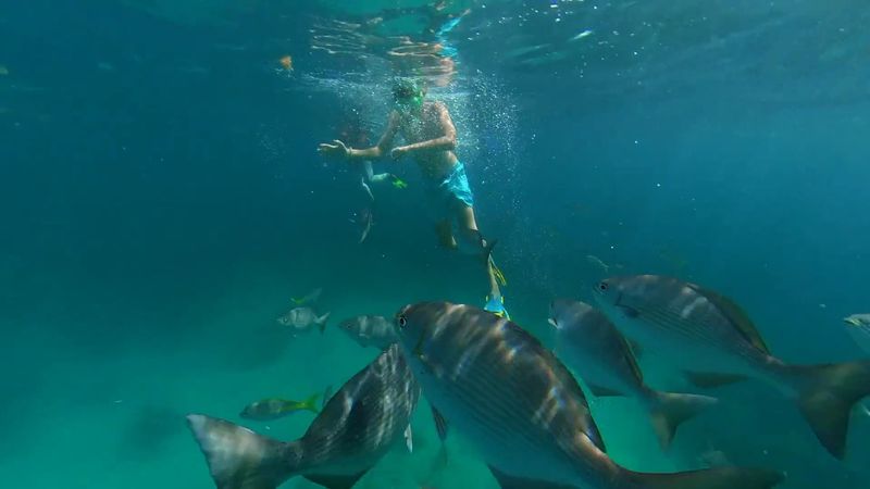 Sombrero Key Reef, Marathon