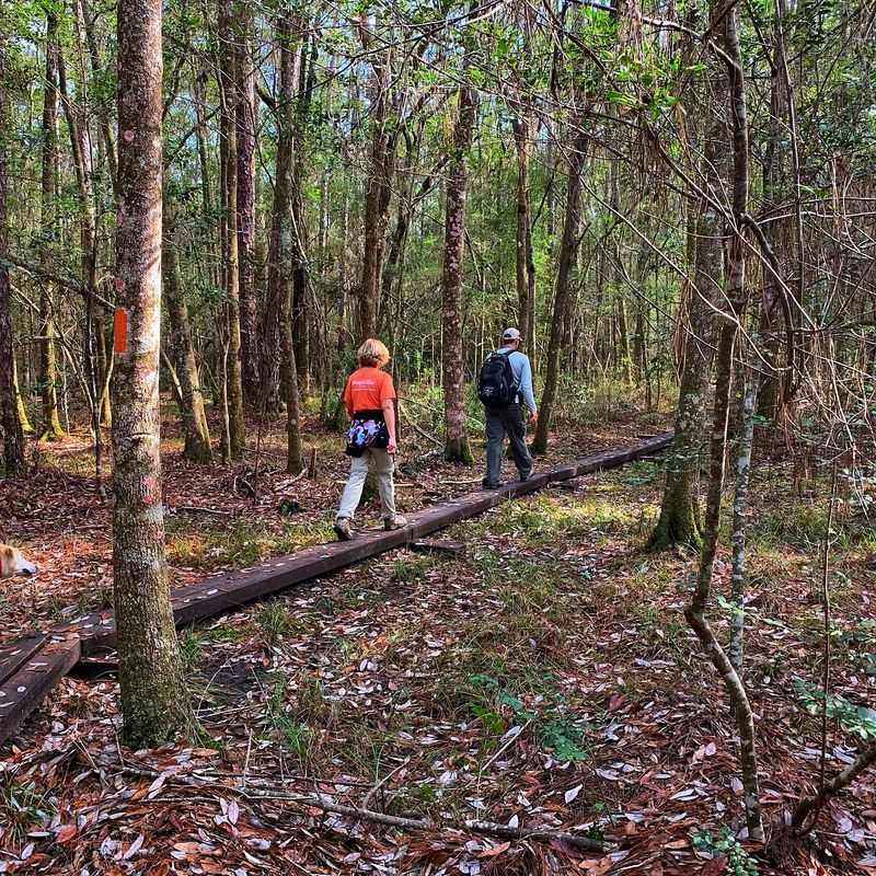 What to Expect on the Six-Mile Trek