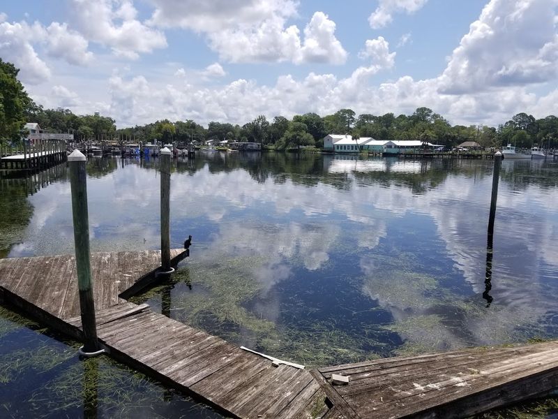 Crystal River