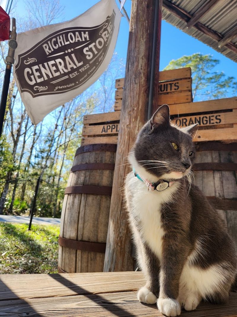 The Warm Welcome and Community Spirit