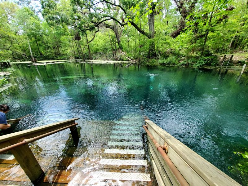 Wes Skiles Peacock Springs State Park (Live Oak)