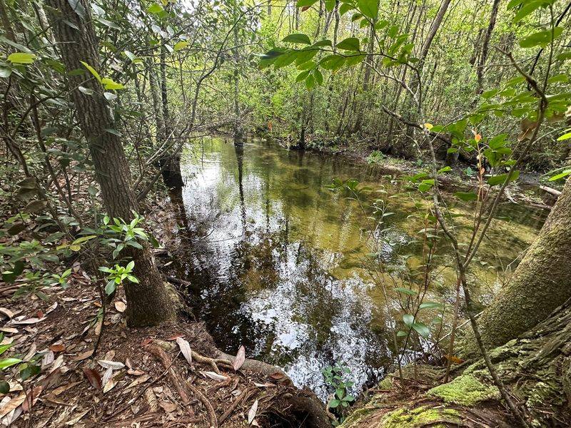 Rare Steephead Streams Cutting Through Ancient Clay