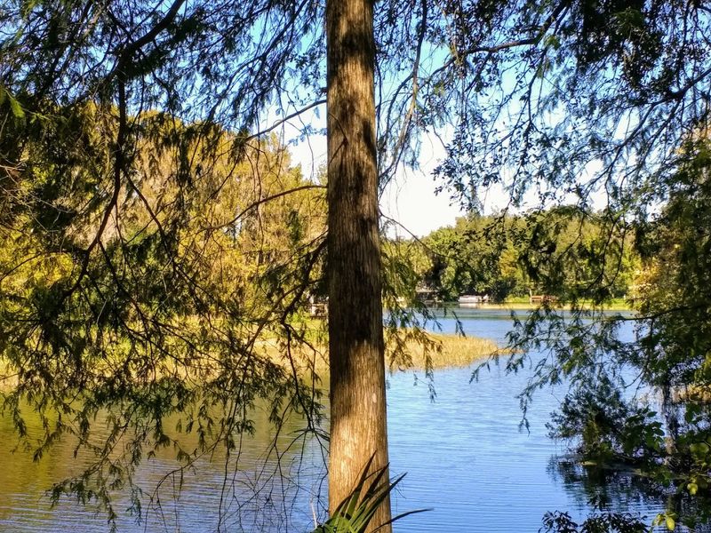 Dunnellon Trail (Dunnellon)