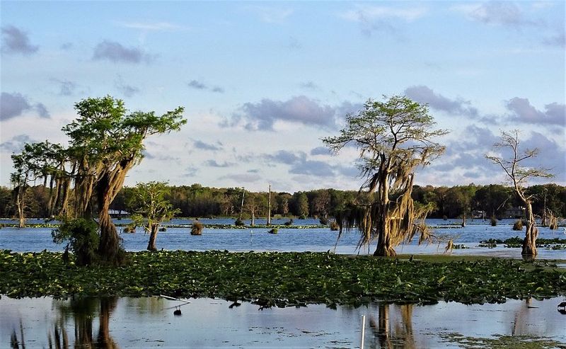 Withlacoochee River (Dunnellon)